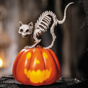 Morris Costumes 11 1/2" Animated Pumpkin with Skeleton Cat Tabletop Halloween Decoration - 1 of 2