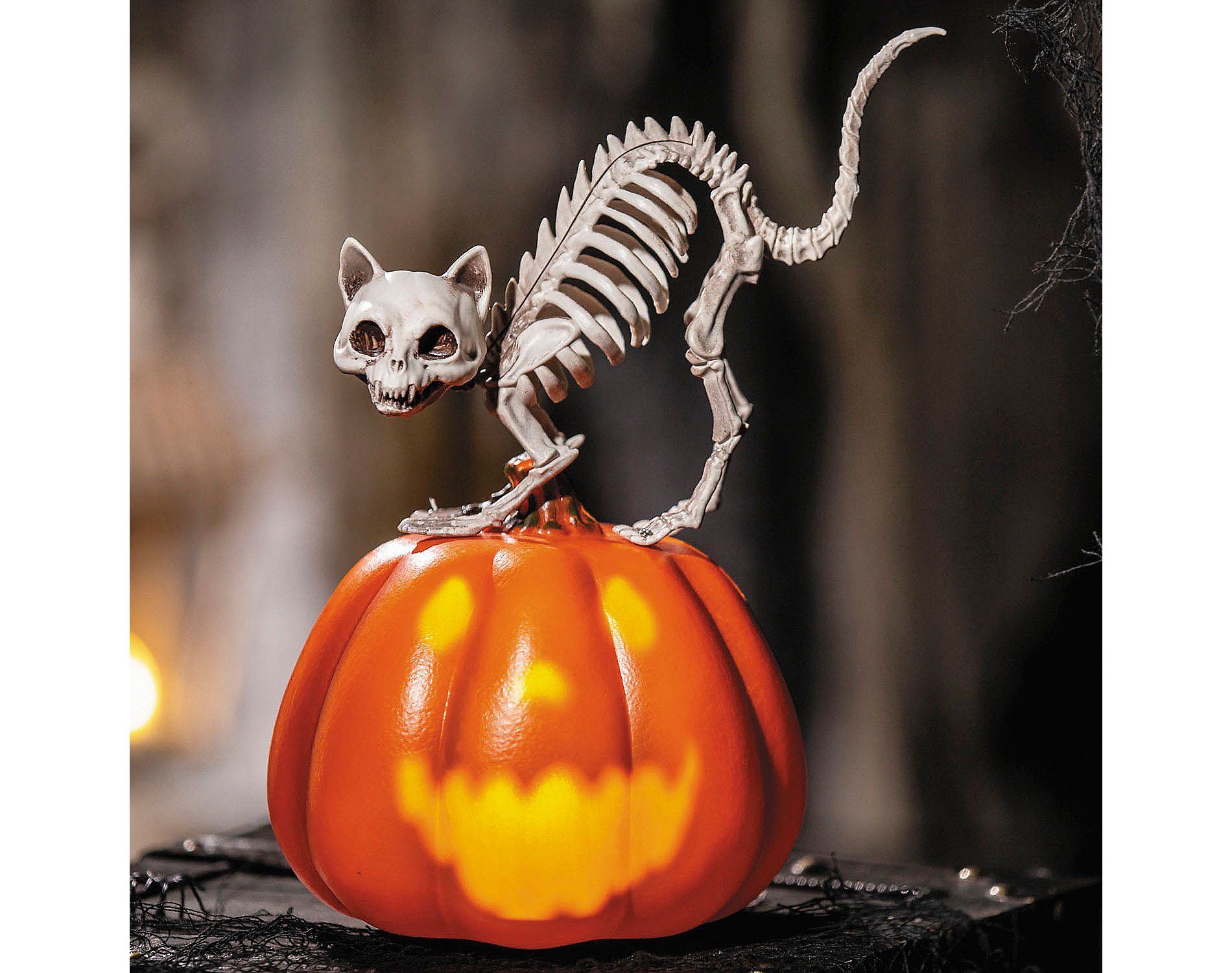 Morris Costumes 11 1/2" Animated Pumpkin with Skeleton Cat Tabletop Halloween Decoration