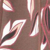 coffee bean meadow leaves