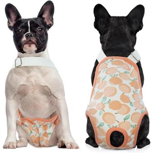 Dog Diapers Female Washable Sanitary Pantie with Adjustable Suspender, Cute Puppy Pet Period Panties, Reusable Doggie Diapers for Male Dogs in Heat - 1 of 4