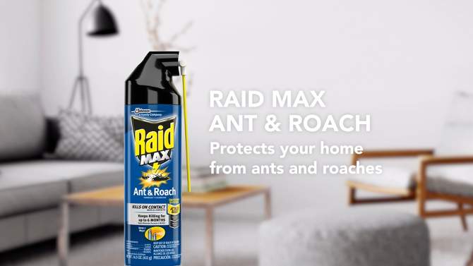 Raid Max Ant and Roach Pesticide - 14.5oz, 2 of 19, play video