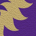 orlando city soccer club