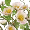 Uttermost Tranquility Lenten Rose Bouquets- Perfect Accent Hellebore with Faux Water, Set of 2 - 3 of 3