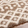 Hauteloom Camp Shag Area Rug - 4 of 4