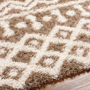 Hauteloom Kato Shag Area Rug - 1 of 4