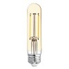 GE 60W T9 Filament Vintage Light Bulb - 2 of 4