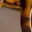 tortoise shell