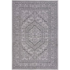 Adirondack ADR108 Non-Shedding Power Loomed Indoor Rugs - Safavieh - 1 of 4