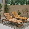 PAGED Patio Chaise Lounge Modern Wooden Frame Recliner with Bold Slats Tiltable Lounge Chair for Garden, Poolside - 2 of 4