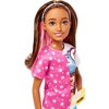 Barbie Skipper Doll and Dog Walker Set with Puppy and Accessories First Jobs - image 2 of 4