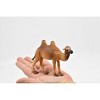 Camel, Bactrian, Mongolian camel, Very Nice Plastic Design, Animal Figure, Figure, Model, Figurine, Replica, Toy, Gift,  4 Inches.   CWG172 BB40 - 3 of 4
