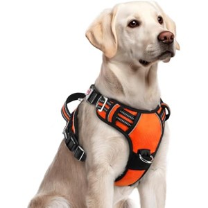 rabbitgoo Dog Harness for Large Dogs, No Pull Pet Vest  Easy Control Handle and Reflective Strips, Orange, L - 1 of 1