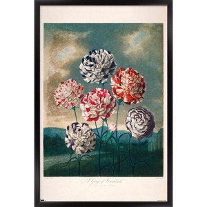 Trends International A Group Of Carnations Framed Wall Poster Prints - 1 of 4