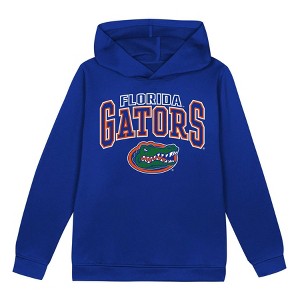 NCAA Florida Gators Toddler Boys' Poly Hooded Sweatshirt - 1 of 1