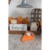 Transpac Plush Pumpkin Pie Decor Decorative Objects for Fall Harvest Indoor Home Decoration and Gift Giving - 3 of 3