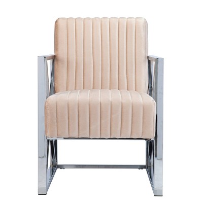 Echidna Velveteen Accent Chair Champagne/Chrome - Aiden Lane