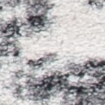ivory/grey