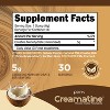 Perk Creamatine (Coconut Cream) - 30 Servings, Flavored Creatine Monohydrate, 5g Creatine per Serving, Naturally Sweetened, Zero Sugar, Gluten-Free - 2 of 4