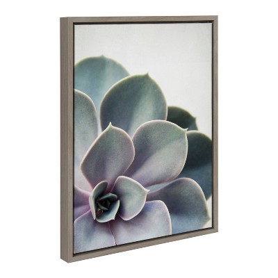 Sylvie Succulent 5 Framed Abstract Canvas Print