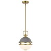 Nuvo Lighting Everton 1 - Light Pendant in  Matte Gray - 4 of 4