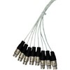 Rapco Horizon Analog 8-Channel XLRM/XLRF Snake - 2 of 3