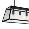 CWI Lighting Alyson 4 Light Down Chandelier With Black Finish - 4 of 4