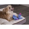 goDog Dragons Squeaker Plush Pet Toy for Dogs & Puppies, Soft & Durable, Tough & Chew Resistant, Reinforced Seams - image 4 of 4