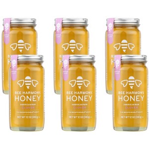 Bee Harmony American Raw Clover Honey - 6 pack, 12 oz - 1 of 4