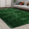 Fluffy Shaggy Rug: Tie-Dyed Furry Non-Shedding Plush Rug – Fuzzy Accent Carpet for Living Room, Bedroom | Soft Feet-Friendly Home Decor Floor Cover - 2 of 4