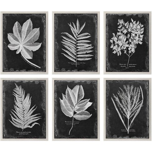 Uttermost Foliage 33 3/4" Wide 6-Piece Framed Wall Art Set - image 1 of 1