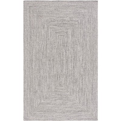 Braided BRA201 Hand Woven Rug - Safavieh