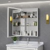 LED Medicine Cabinet with Mirror,Surface or Recessed Mount,Defogger,Memory Function,3-Color Lighting,USB&Outlet,Dimmer,and Storage Shelf - 3 of 4