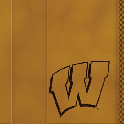 wisconsin badgers
