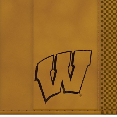 wisconsin badgers