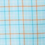 light blue check