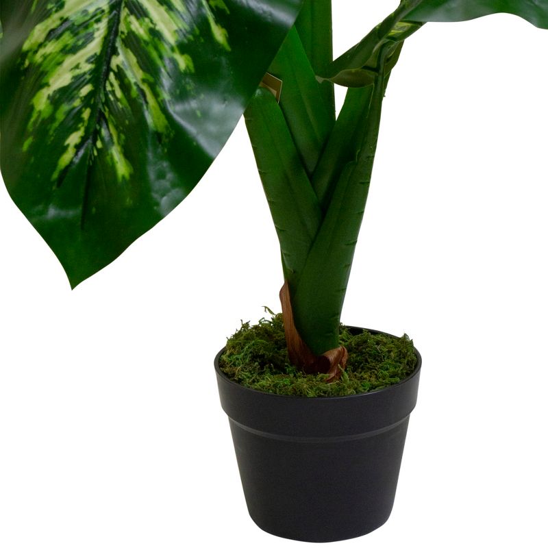 Northlight 36" Artificial Green and Ivory Variegated Leaf Dieffenbachia Potted Plant, 4 of 5