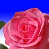 National Tree Company 72" Rose and Hydrangea Garland - 4 of 4
