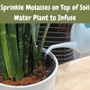 Soil Sunrise Dry Horticultural Molasses Powder, Indoor/Outdoor Gardening Soil Amendment for Plants - 4 of 4