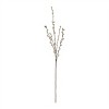 Pussy Willow Twig Spray (Set of 6) - 3 of 3