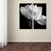 Michael Harrison 'Gardenia' Floating Brushed Aluminum Art - 3 of 3