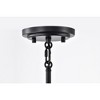 Nuvo Lighting Lakeshore 1 - Light Pendant in  Matte Black - 4 of 4