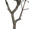 NicBex Artificial Ficus Plant Indoor, Fake Tree with Pot, Faux Plants Tall Fake Floor Plant, Artificial Trees for Home Office Living Room Decor - 3 of 4