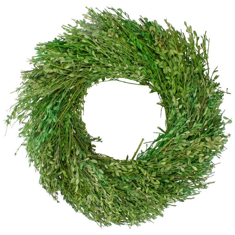 Northlight Green Foliage Artificial Spring Wreath, 20-Inch, 1 of 3