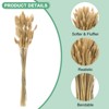 Unique Bargains Artificial Dried Flowers Realistic Look Pampas Bunny Tails Grass 17 Inch - 2 of 4