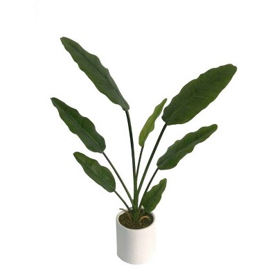 2.2' Artificial Banana Tree in Pot White - Project 62™