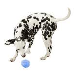 Manhattan Pet Toy Freaky Squeakies Blueberry Fabric Covered Silicone Dog Exercise Ball Toy