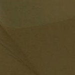 charcoal dark olive