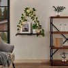Attop Floating Shelves for Wall,Plant Wall Decor,Hanging Shelf,Room Decor Aesthetic,Boho Room,Adhesive Shelves,Two-Piece Set - 3 of 4