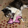 KONG Pig FlyKnit Ballistic Dog Animal Toy - 4 of 4