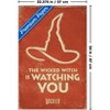 Trends International Wicked: For Good (2025) - The Wicked Witch Is Watching You Unframed Wall Poster Prints - 3 of 4